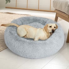 Damon Dog Bed